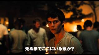 映画「メイズ・ランナー」予告編 巨大迷路の謎を追う The Maze Runner movie [upl. by Inoue]