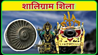 शालिग्राम शिला Shaligram Shila SecretsMythology Kahaniyan [upl. by Neros584]