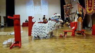 🥉Lion Dance by University of Bristol Lion Dance Troupe  布里斯托大學醒獅團  UK Lion Dance Tournament 2024 [upl. by Marquez604]