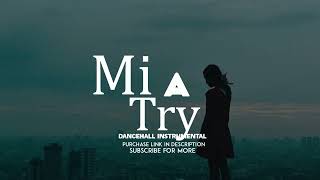 Dancehall Riddim Instrumental 2023  Mi A Try [upl. by Negris]