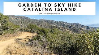 GARDEN TO SKY HIKE ON CATALINA ISLAND  Garden to Sky Trail  Wrigley Memorial and Botanic Garden [upl. by Ahtaga]