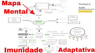 Aula Imunologia  Introdução e Imunidade Inata Inespecífica  Imunologia 1 [upl. by Thun779]