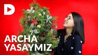 Chiroyli va arzon archa yasaymiz ❤️🎄 DUGONA [upl. by Mettah823]