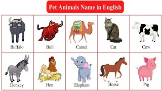 Pet Animals Name in English  Lets Learn pet Animals Name with spelling and pictures  Pet Animals [upl. by Dinnie276]