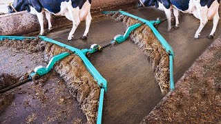 Amazing Modern Automatic Cow Farming Technology  Fastest Feeding Cleaning and Milking Machines [upl. by Esorbma454]