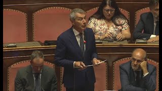 Autovelox non omologati Il senatore Antonio De Poli interroga il ministro Salvini in Senato [upl. by Melone910]