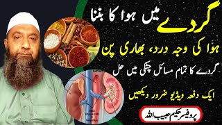 Treatment for all Kidney Problems l kidney pain l Gurdy Me Hawa Ki Waja Sy Dard Hona [upl. by Nosduh]