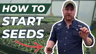 Seed Starting Advice Ordering Seeds Soil Blocking Germination Chamber [upl. by Travers]