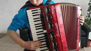 Accordion Scandalli Brevetto Polifonico 120 bass LMMH  Test 2 [upl. by Suzie]