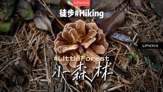 What To Do In Suzhou Hiking  Great short walk over the hill [upl. by Nettirb]