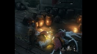 Sekiro  Where to get 5 treasure carp scales  Priest drank Water of the Palace [upl. by Hertha]