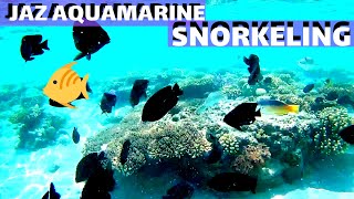 Snorkeling amp feeding the fish at Jaz Aquamarine Hurghada 🇪🇬 Egypt 🐠 🐟 🐡 [upl. by Cindie]