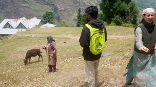 Untouched Village Of Himachal Pradesh India Dodra Kawaar Valley [upl. by Eelrahc]