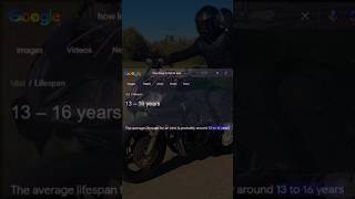 I’m still standing 💪 viral fyp motorcycle bike honda cbr ride funny relatable moto [upl. by Aisercal]