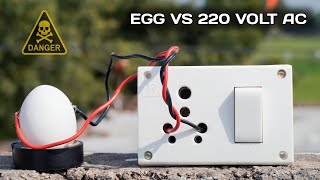 EGG VS 220 VOLT AC 😱  फिर जो हुआ हमने सपने में भी नही सोचा था  The Nation Experiment [upl. by Siouxie]