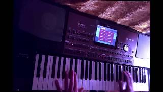 Self Control  Soraya  80s Disco style KORG PA700 [upl. by Fremont275]