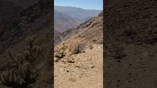 Carrizo Gorge Railroad [upl. by Ramburt]