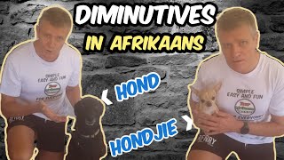 Verkleinwoorde  How to pronounce diminutives in Afrikaans and their rules [upl. by Stromberg]