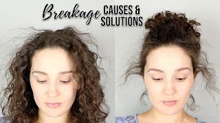 Breakage 101  Causes amp Solutions for Breakage in Curls [upl. by Nidla110]