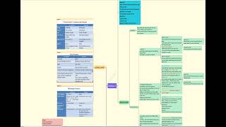 Neoplasia LEC 2 شرح بالعربي [upl. by Yasmine204]