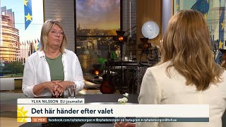 EUexperten Därför ska man rösta i EUvalet  Nyhetsmorgon  TV4 amp TV4 Play [upl. by Janerich]