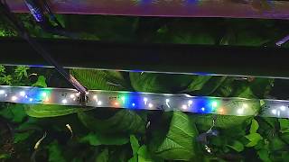 Plafoniera EasyRiver LED per acquario [upl. by Sidra]