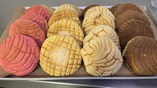 La receta de CONCHAS ESPONOJAS mas facil [upl. by Naitsirhc]