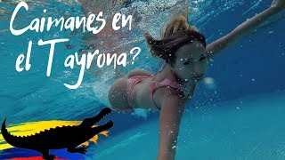 Aventura en El Parque Tayrona  Santa Marta I Colombia Vlog 5 [upl. by Deny148]