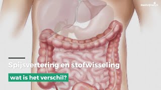 Spijsvertering en stofwisseling wat is het verschil [upl. by Nomyt821]