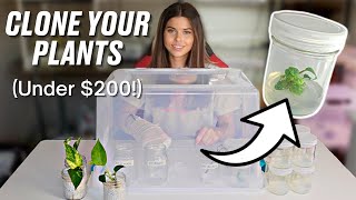 DIY Tissue Culture How to Get Started for Less Than 200 [upl. by Haynes885]