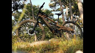 MTB Trails August 2024 Polygon Collosus N9  N8E [upl. by Yerroc513]