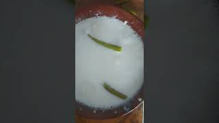 curd Rice  telugu chaddhi annam curd curdrice [upl. by Allisirp]