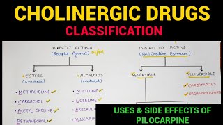 Autonomic Pharmacology  4  Cholinergic Drugs Classification  EOMS [upl. by Cormier978]