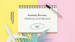 Duodenum Liver Revision [upl. by Narrat]