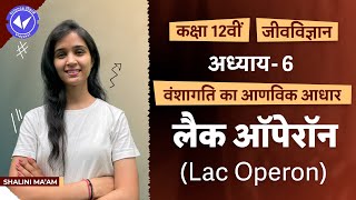 Lac Operon  Molecular Basis of Inheritance  Class 12 Biology Chapter 6  Hindi Medium [upl. by Lleuqar]