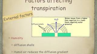 AS level G18 Transpiration Ms Cooper [upl. by Eads]