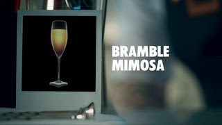 BRAMBLE MIMOSA DRINK RECIPE  HOW TO MIX [upl. by Elagibba751]