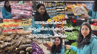 അമേരിക്കൻ സൂപ്പർമാർക്കറ്റിൽ മലയാളിക്കെന്ത് കാര്യം  Grocery shopping in American supermarket [upl. by Oibirot]