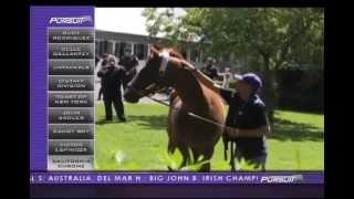 2014 Breeders Cup Classic Contenders [upl. by Ashti]