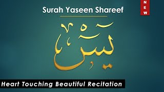 Surah Yaseen  Beautiful Recitation and Visualization of The Holy Quran Heart Touching Voice  AS I [upl. by Jonis]