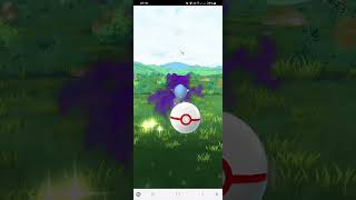 Doing A Shadow Cranidos Raid pokemongo subscribe [upl. by Angele]