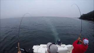 First 5 min of Salmon fishing in Port Hardy BC [upl. by Alehs]