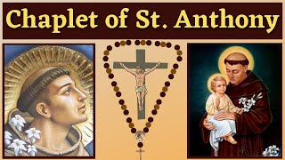 Chaplet of St Anthony of Padua For 13 Petitions amp Favors [upl. by Attiuqahs]