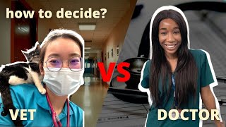 Veterinary School Whats the Difference Between DVM and Bachelor of Veterinary Science [upl. by Collyer823]