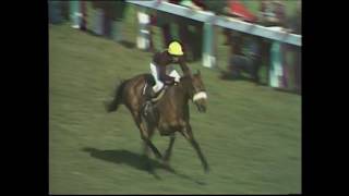 1977 Grand National  Red Rums third victory [upl. by Ula]