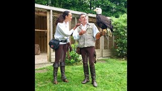 Découverte de la Fauconnerie du Puy du Fou dans Les Chemins Nathalie [upl. by Wasson784]