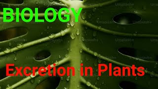 Excretion in plants homeostasis biology [upl. by Moriyama]