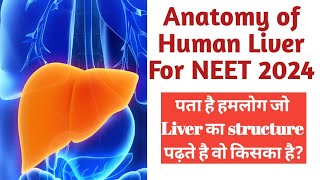 Structure location and Anatomy of Liver for NEET with advancement in knowledge by Abhay Sir [upl. by Hertha903]