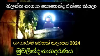 Muchalinda nagadaranagangarama vesak kalapaya 2024colombo in sri lanka [upl. by Zink]