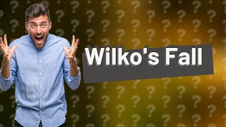 Why did Wilko fail BBC [upl. by Alana564]